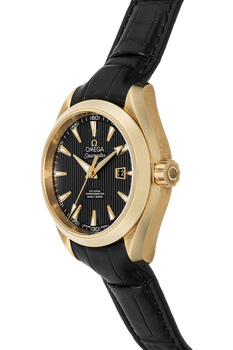 Seamaster Aqua Terra Co-Axial Yellow Gold Automatic