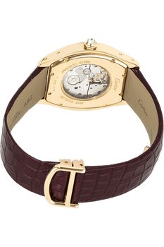 Tortue Yellow Gold Manual