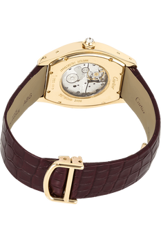 Tortue Yellow Gold Manual
