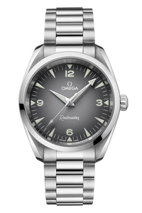 Seamaster Railmaster