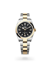 Rolex online retailer 2025