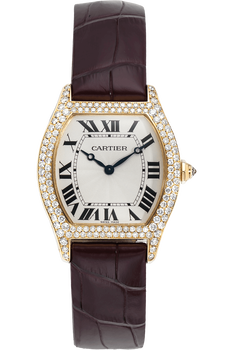 Tortue Yellow Gold Manual