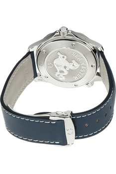 Seamaster Professional Stainless Steel Quartz