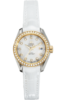 Seamaster Aqua Terra Co-Axial Yellow Gold and Stainless Steel Automatic