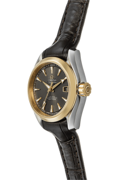 Seamaster Aqua Terra Co-Axial Yellow Gold and Stainless Steel Automatic