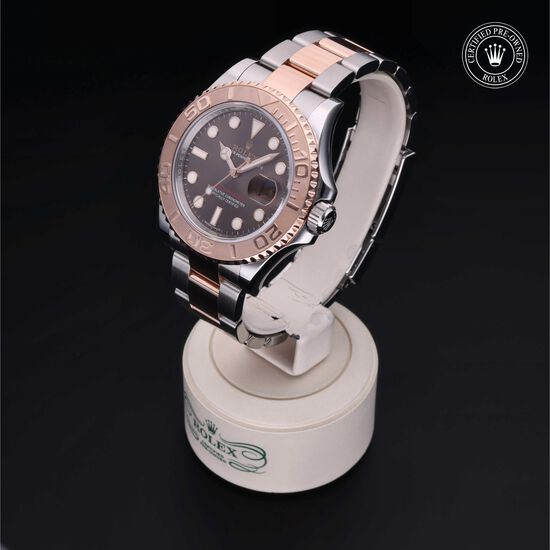 Yacht-Master