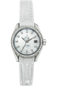 Seamaster Aqua Terra Co-Axial Stainless Steel Automatic