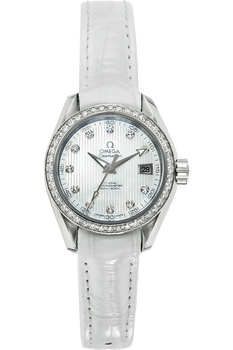 Seamaster Aqua Terra Co-Axial Stainless Steel Automatic