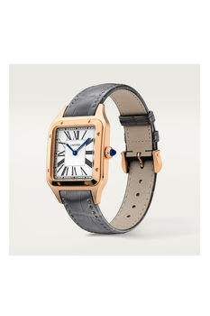 Santos-Dumont, Large Model