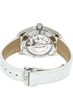 Seamaster Aqua Terra Co-Axial Stainless Steel Automatic