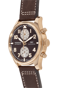 Pilot&#39;s Antoine De Saint Exupery Limited Edition Rose Gold Automatic