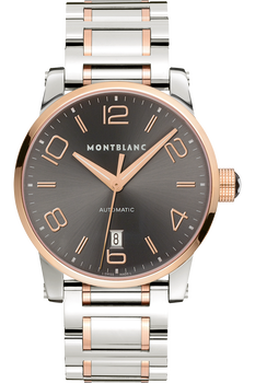 TimeWalker Automatic Steel Gold