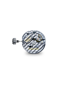 Hi-Beat 36000 SBGH347