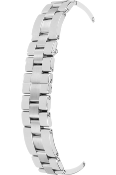 Roadster Stainless Steel Automatic