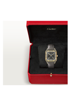 Santos-Dumont, Large Model