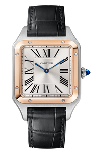 Santos-Dumont, Large Model