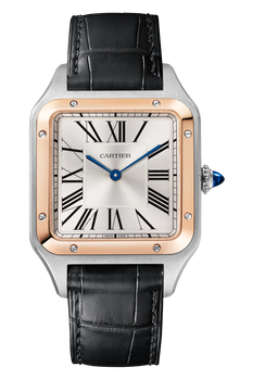 Santos-Dumont, Large Model