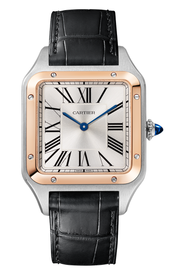 Santos-Dumont, Large Model