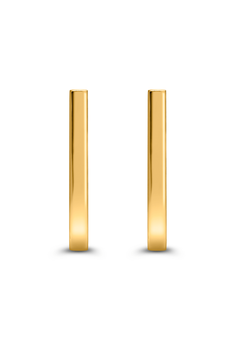 Link Earrings