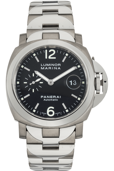 Luminor Marina Titanium and Stainless Steel Automatic