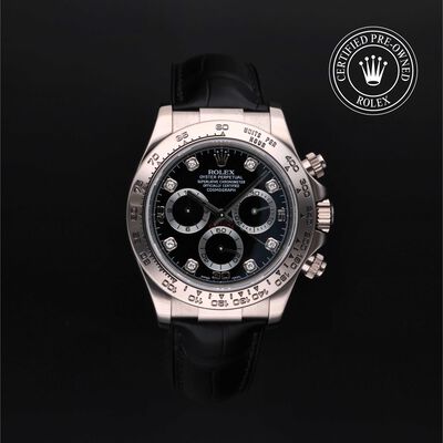 Daytona