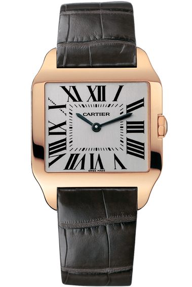 Santos Dumont, Small Model