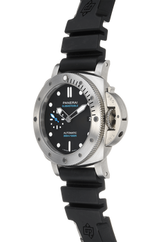 Submersible Stainless Steel Automatic