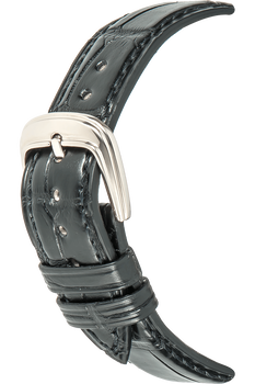 Franck Muller Day Night Retrograde White Gold Automatic