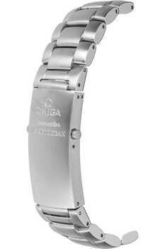 Seamaster Planet Ocean Stainless Steel Automatic