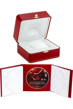 Pasha C Stainless Steel Automatic