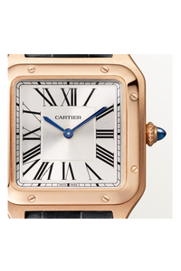 Santos-Dumont, Small Model