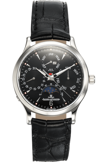 Master Control Perpetual Stainless Steel Automatic