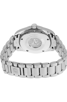 Seamaster Aqua Terra Stainless Steel Quartz