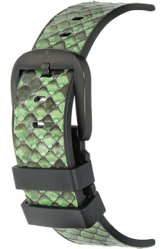 Bubble Green Python PVD Black and Stainless Steel Automatic