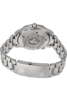 Seamaster Titanium Automatic