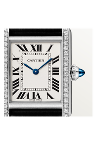 Tank Must, Small Model