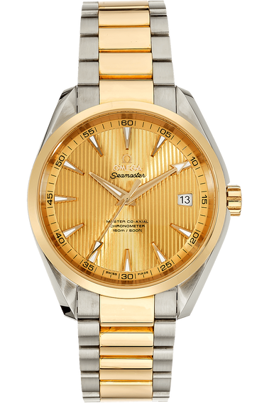 Aqua Terra Master Yellow Gold and Stainless Steel Automatic