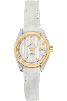 Seamaster Aqua Terra Co-Axial Yellow Gold and Stainless Steel Automatic