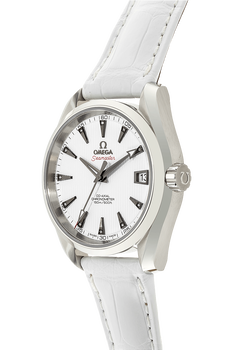 Seamaster Aqua Terra Co-Axial Stainless Steel Automatic