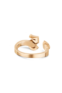 EXTRAIT DE N°5 RING