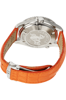 Seamaster Planet Ocean Co-Axial Stainless Steel Automatic