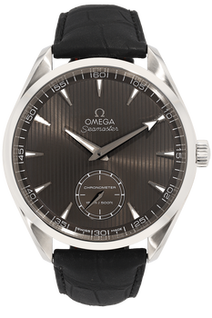 Seamaster Aqua Terra XXL Stainless Steel Manual