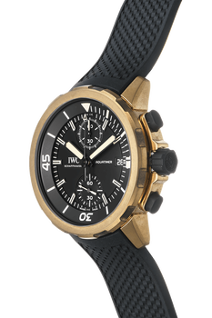 Aquatimer Chronograph Expedition Charles Darwin Bronze Automatic