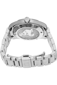 Seamaster Aqua Terra Stainless Steel Quartz