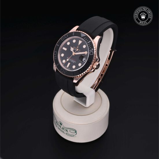 Yacht-Master