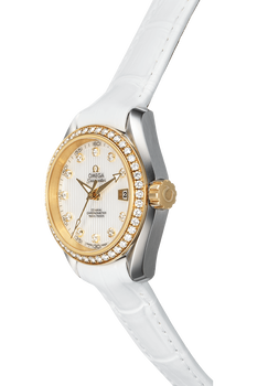 Seamaster Aqua Terra Co-Axial Yellow Gold and Stainless Steel Automatic