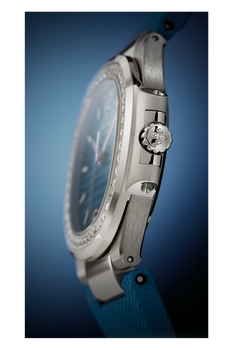 Nautilus
