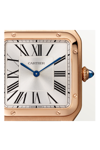 Santos-Dumont, Large Model