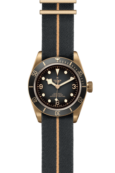 Black Bay Bronze