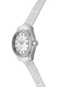 Seamaster Aqua Terra Co-Axial Stainless Steel Automatic
